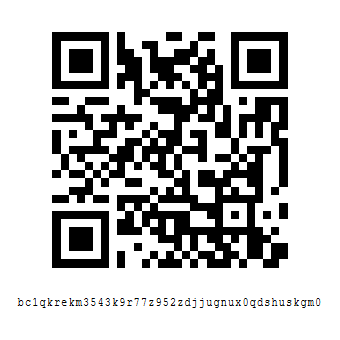 Bitcoin donation QR code